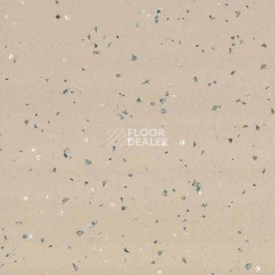 Линолеум Gerflor Taralay Premium Indiana 4343 Tokelau фото 1 | FLOORDEALER